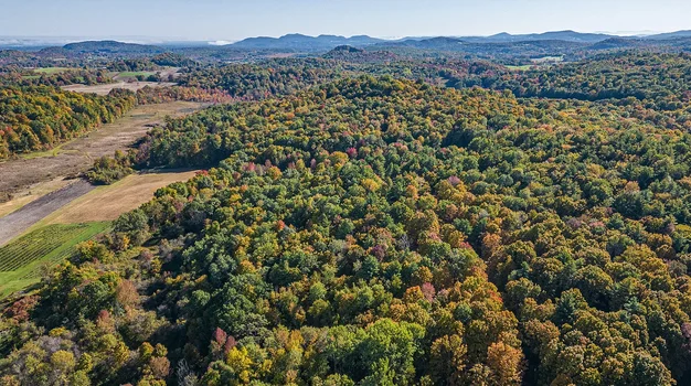 Creekside Property for Sale -  9.43 Acres of Unrestricted Land